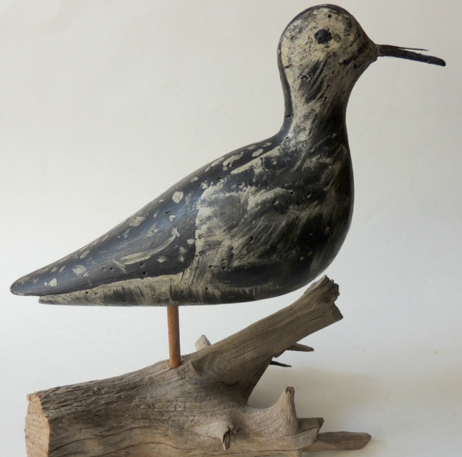 Rig of Shorebirds
