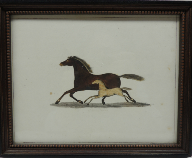 1844  SJ Watercolor