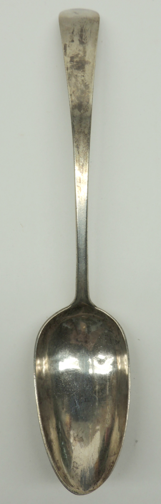 NJ Bird Back Coin Silver Serving Spoon