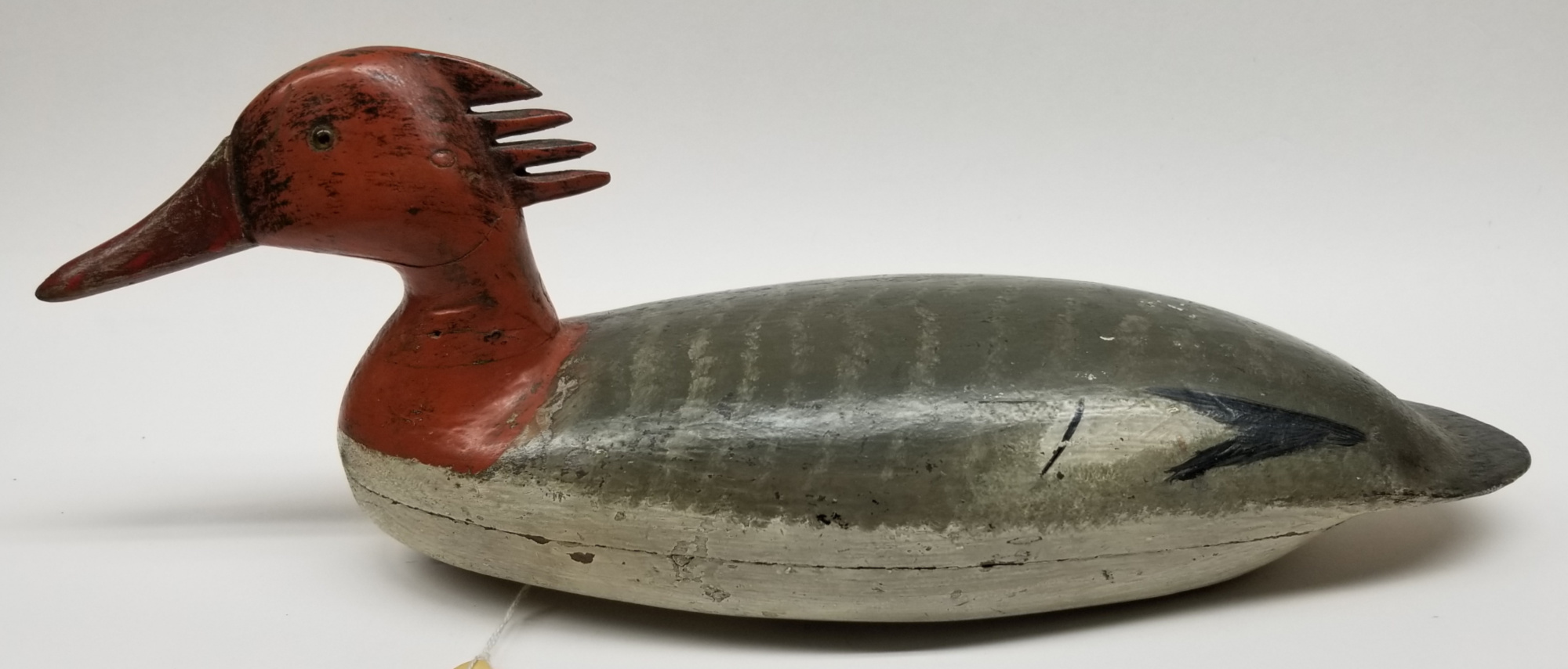 N.J. Red Breasted Merganser