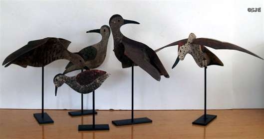 Early Tin Shorebird Group