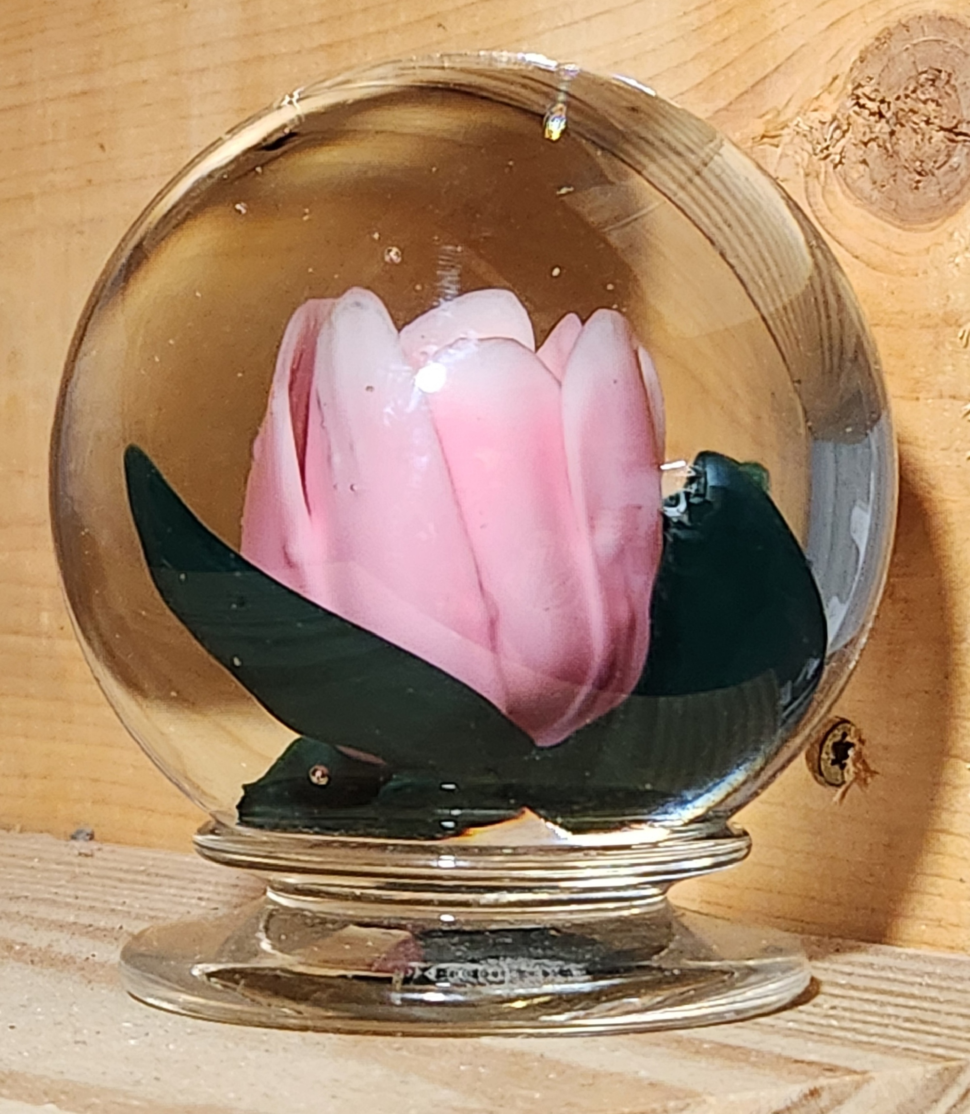 The Original Ralph Barber Millville Rose