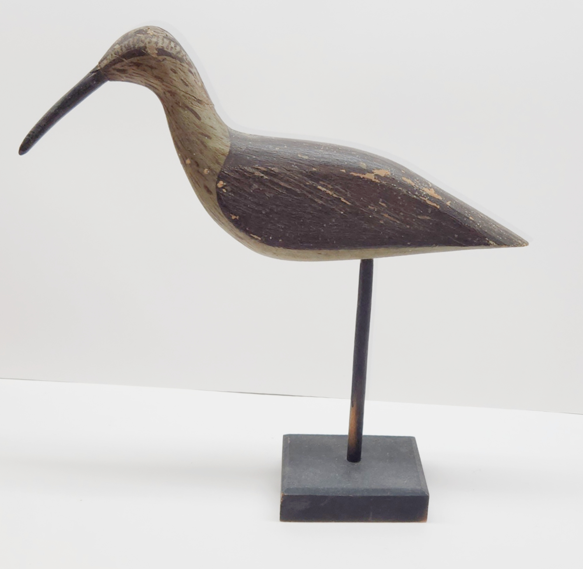 SJ Curlew 