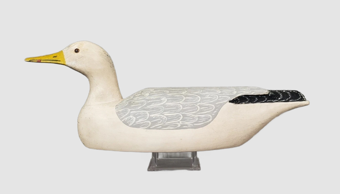  Rare Confidence Gull Decoy Gene Hendrickson Northfield NJ
